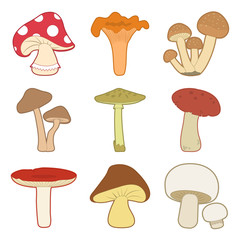 Colorful mushrooms vector set. Different mushrooms.