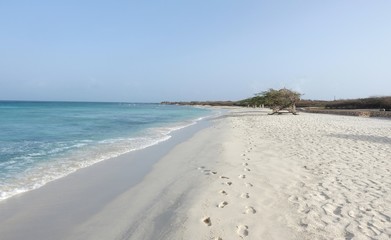 Caribbean Beach in Netherlands Antilles Aruba