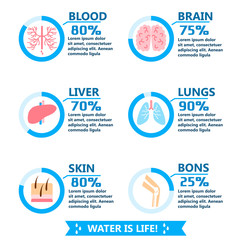 Body water drink infographics health people diet lifestyle concept brochure infochart vector illustration