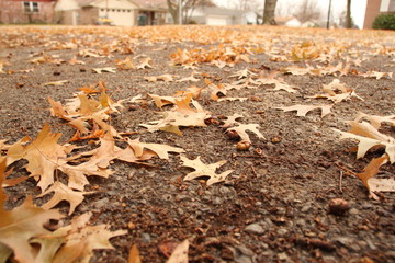 Oklahoma Autumn
