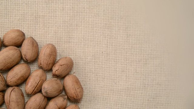 The nut pecan rotates on the turntable.