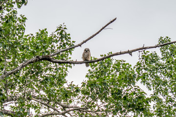 Glenbow Ranch Provincial Park, Calgary, Alberta, Canada
