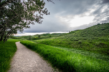 Glenbow Ranch Provincial Park, Calgary, Alberta, Canada