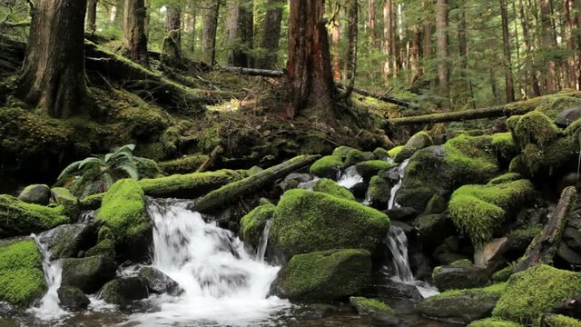 The Sol Duc river falling over moss covered rocks, Washington, Olympic National Park