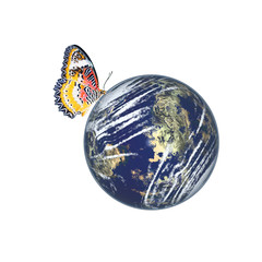 Beautiful Butterfly on a World