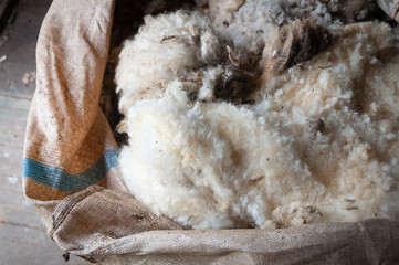 Bale of shorn wool