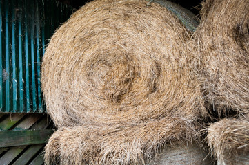 Hay in hay shed