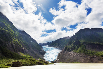 Bear glacier