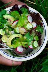 Summer salad with horseradish dressing.