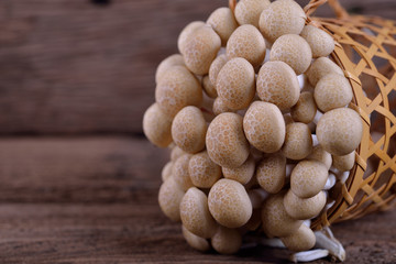 fresh buna-shimeji (brown beech) mushroom in basket and on wooden table