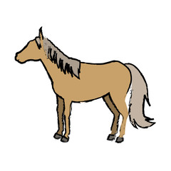 Sorrel horse with white legs vector. Flat design. Domestic animal. Country inhabitants concept. For farming, animal husbandry, horse sport illustrating. Agricultural species. Isolated on white