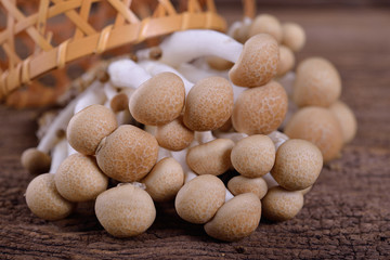 Fototapeta na wymiar fresh buna-shimeji (brown beech) mushroom on wooden table