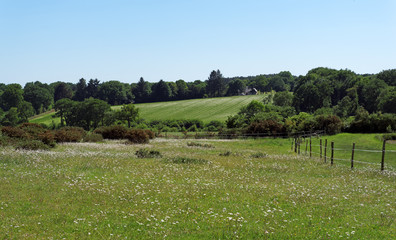 Fototapeta premium Campagne du Morbihan