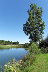 Fototapeta premium Etang dans la campagne du Morbihan