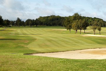 Golf Course Green