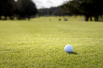Golf Course Green