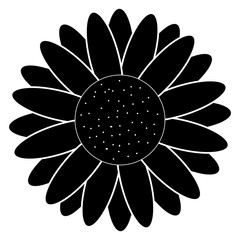 cute sunflower isolated icon vector illustration design