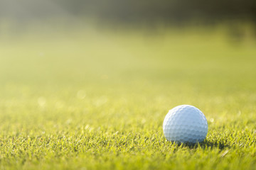 Golf Course Green