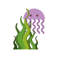 cute jellyfish sealife icon vector illustration design