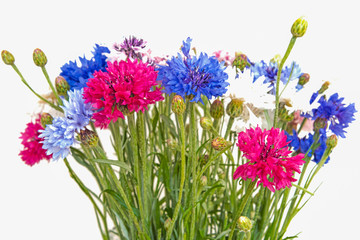 Obraz premium Bouquet of beautiful field cornflowers.