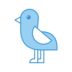 cute bird sea icon vector illustration design