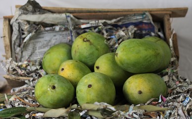 mango