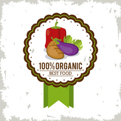 colorful logo of organic best food with peppers tomato and eggplant vector illustration
