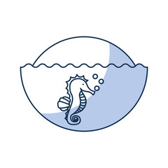 cute seahorse isolated icon vector illustration design