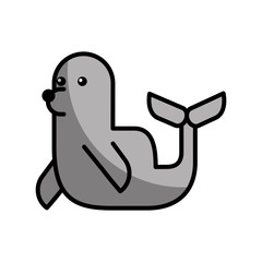 cute seal isolated icon vector illustration design