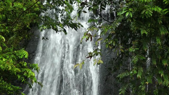Waterfall in El Yunque National Forest, Puerto Rico
