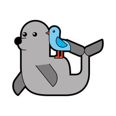 cute seal isolated icon vector illustration design