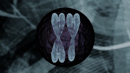 Chromosome inside cell representation bioinformatics biotechnology concept, chromosome cell on...