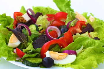 salad from fresh vegetables in a plate on a table, selective focus