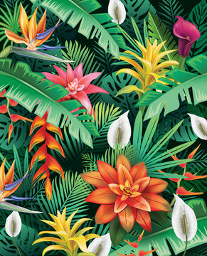 Background from tropical flowers
