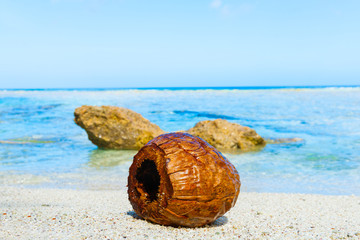 Coconut washed up on small isolated tropical beach