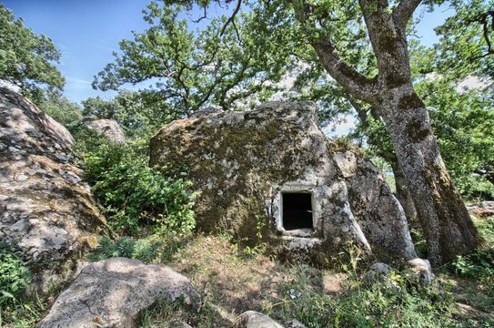 Domus de Janas. Orroli, Parco su Motti. Sardegna