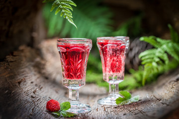 Closeup of liqueur made of wild strawberry and alcohol