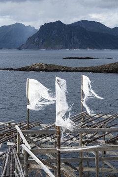 Flags on Stock fish frames in lofoten norway