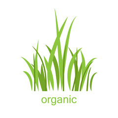 Eco logo grass