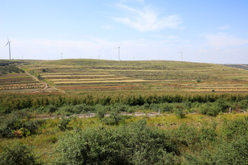 Autumn terraces and wind turbines