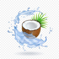 Pieces of fresh coconut with leaves in water splash Realistic vector illustration