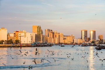 View of Dubai creek with lots of seagulls and abra boats at sunset, United Arab Emirates, UAE - obrazy, fototapety, plakaty