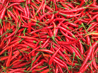 Fototapeta premium Red Chili Peppers in the market, close up