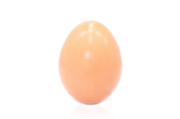 Close up of an egg, isolated on a white background