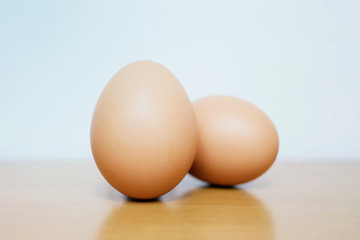 Two eggs isolated on a table and pastel color background