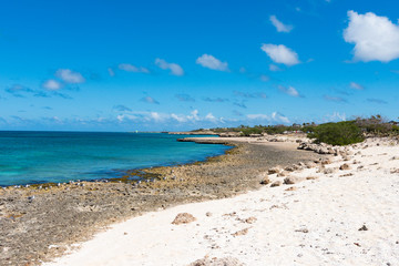 Aruba- Malmok coast