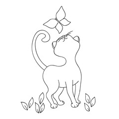 vector white black contour cat with butterfly