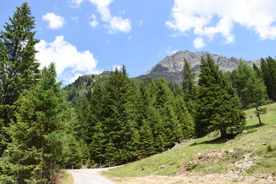 Fototapeta Holzzaun, Steinzaun, Mauer, Pfannspitze, Plattetörl, Steinmauer, Wetter, Berg, Tal, Osttirol, Lienz, Villgraten, Stallertal