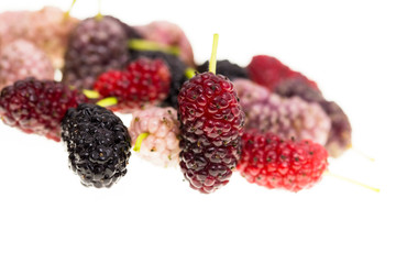 Mulberry berry on a white background