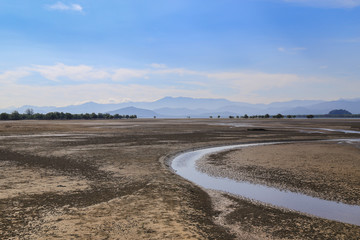 Tree lined in front of the hill.At the morning time.Location is in Bang Ben beach Ranong.Thailand.